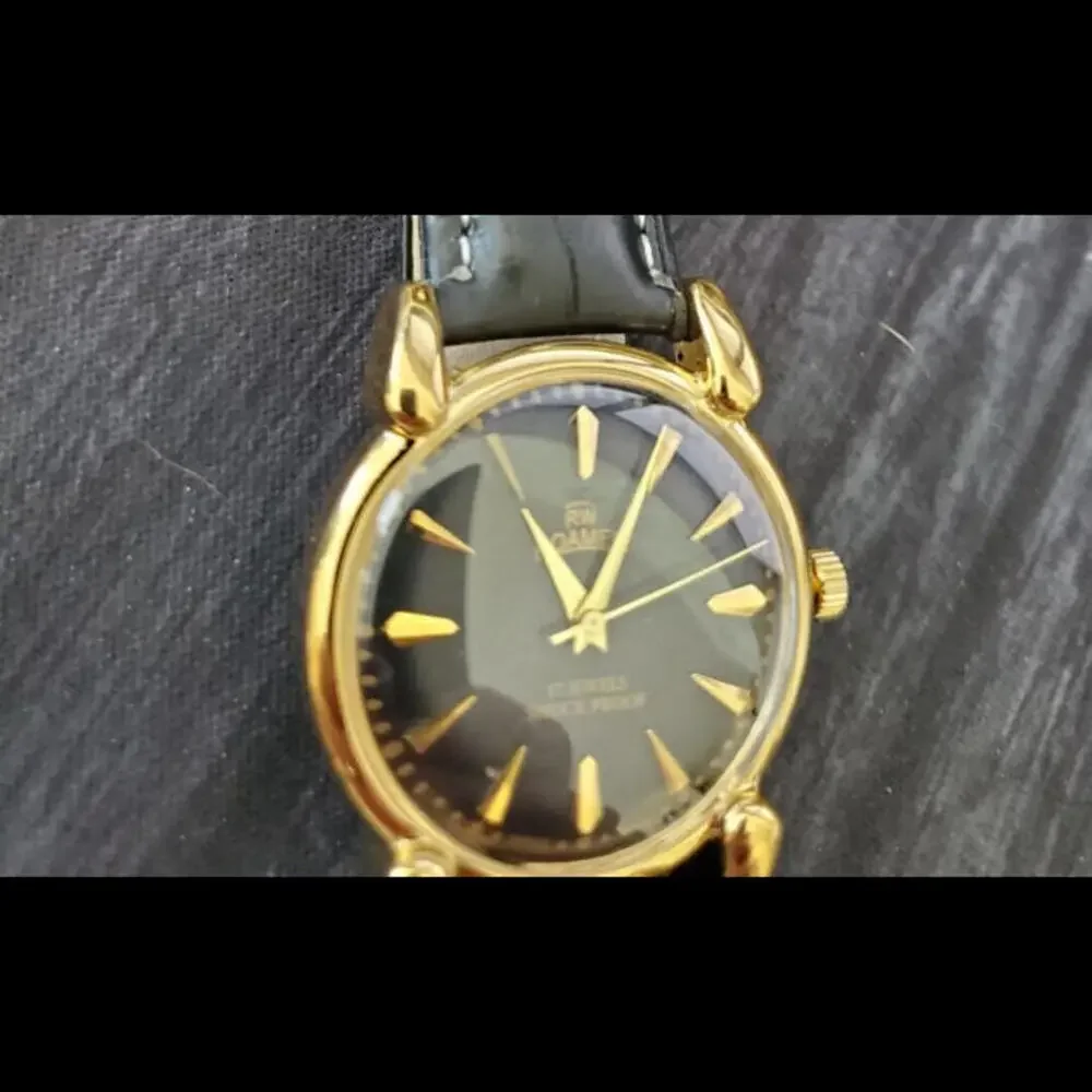 Roamer ✨rare rw